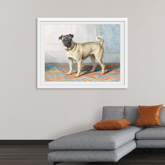 "Portrait of Edwin Vom Rath's Pug", Conradijn Cunaeus