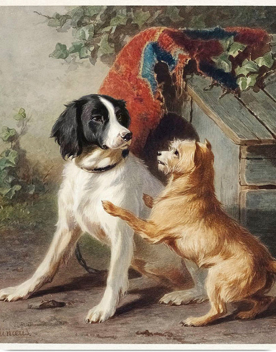 "Two Dogs by a Kennel", Conradijn Cunaeus