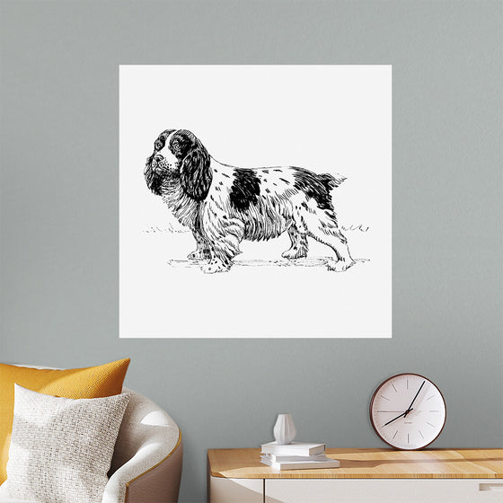 "Spaniel Dog"