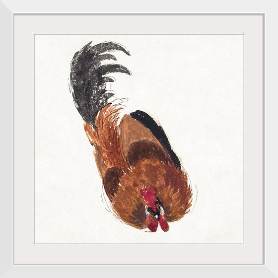 "Study of a Dead Rooster", Aert Schouman