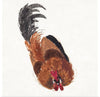 "Study of a Dead Rooster", Aert Schouman