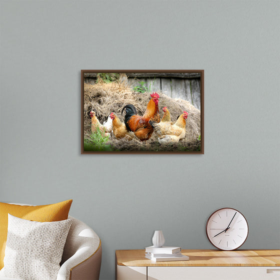 "Rooster and Chicks"