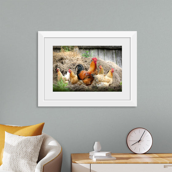 "Rooster and Chicks"