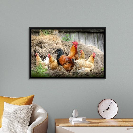 "Rooster and Chicks"
