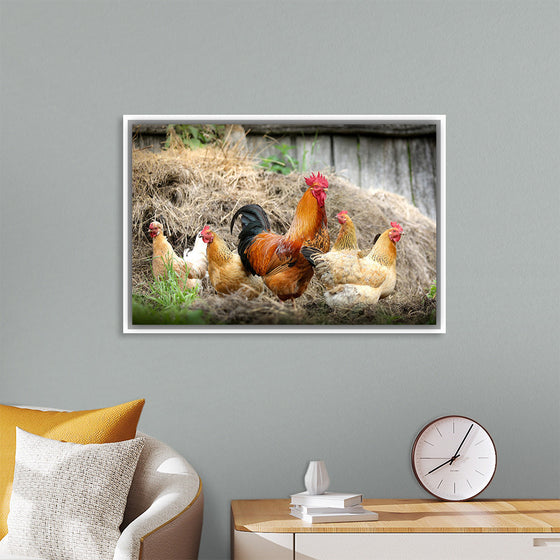 "Rooster and Chicks"