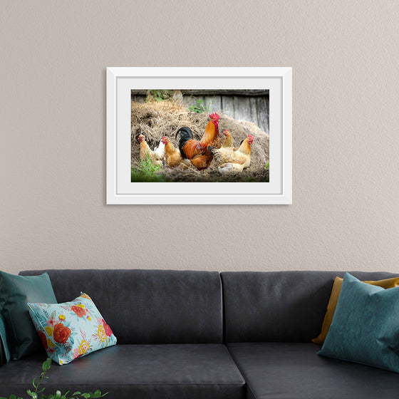 "Rooster and Chicks"