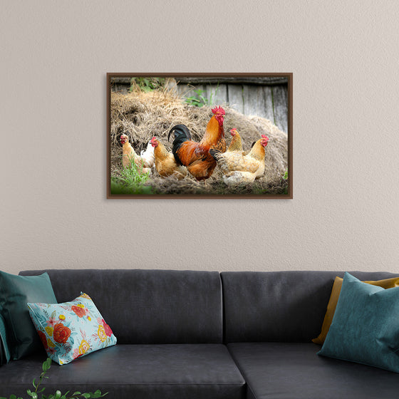 "Rooster and Chicks"