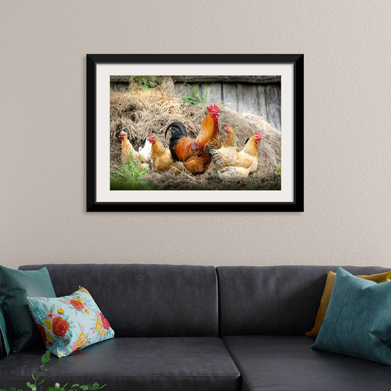 "Rooster and Chicks"