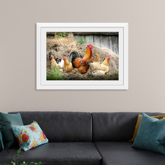 "Rooster and Chicks"