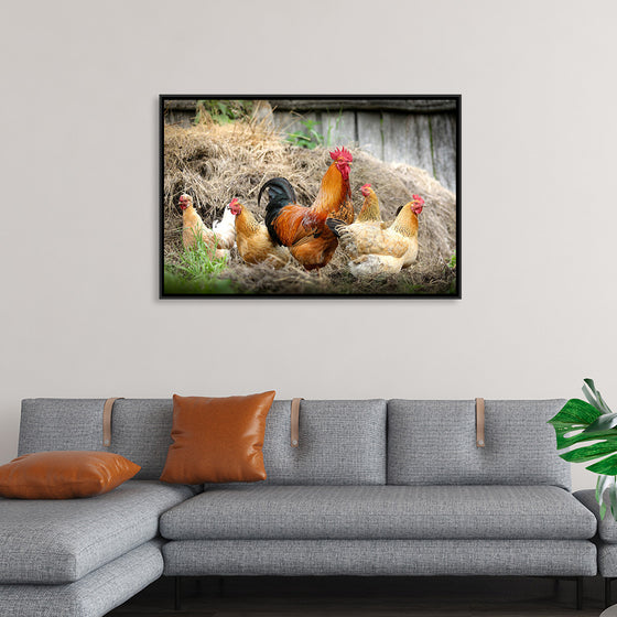 "Rooster and Chicks"