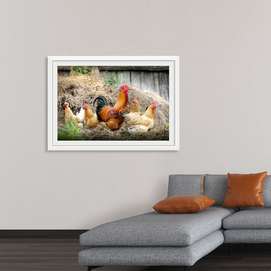 "Rooster and Chicks"