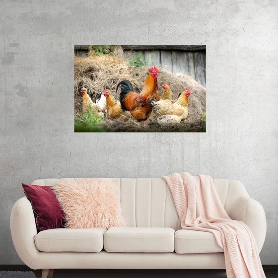 "Rooster and Chicks"