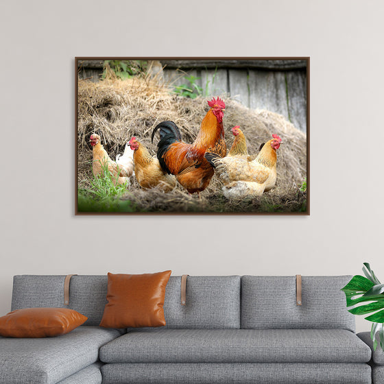 "Rooster and Chicks"