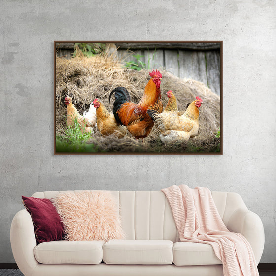 "Rooster and Chicks"