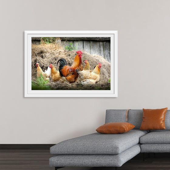 "Rooster and Chicks"