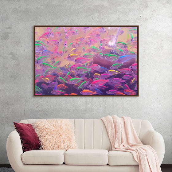 "The Pink Sea"