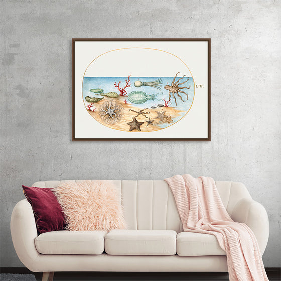 "Sea Life, Sea Cucumbers (1575-1580), Coral, Octopus, Starfish, Squid and Other Sea Creatures, Fish, Ocean, Painting, Art", Joris Hoefnagel