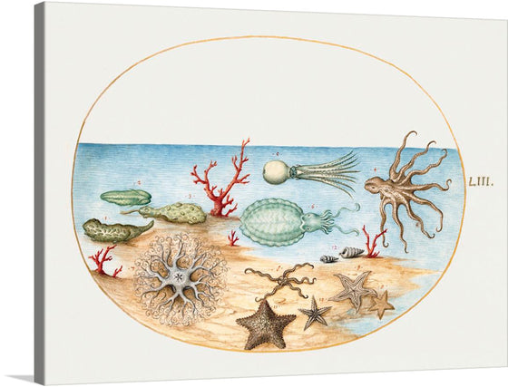 “Sea Life, Sea Cucumbers (1575-1580)” by Joris Hoefnagel invites you to a serene underwater world—a visual symphony of marine life. In this exquisite painting, vibrant sea cucumbers, intricate coral formations, and graceful starfishes coexist in perfect harmony.