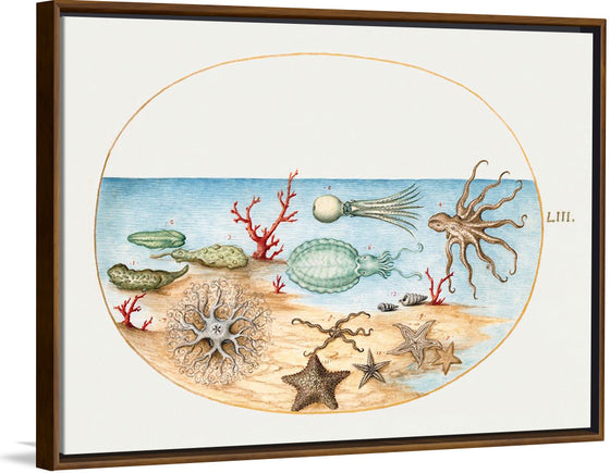 "Sea Life, Sea Cucumbers (1575-1580), Coral, Octopus, Starfish, Squid and Other Sea Creatures, Fish, Ocean, Painting, Art", Joris Hoefnagel