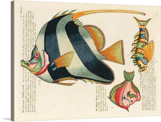 Experience the vibrant colors and surreal illustrations of Louis Renard’s ‘Colourful and surreal illustrations of fishes found in Moluccas (Indonesia) and the East Indies’. This print is a perfect addition to any art collection, bringing a touch of the exotic and fantastical to your home. 
