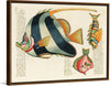 "Colorful and surreal illustrations of fishes found in Moluccas (Indonesia) and the East Indies",  Louis Renard