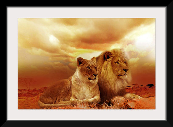 "Lions Resting"