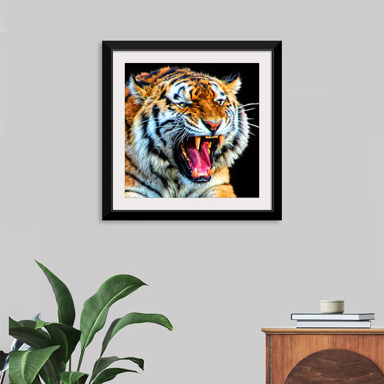 "Tiger"