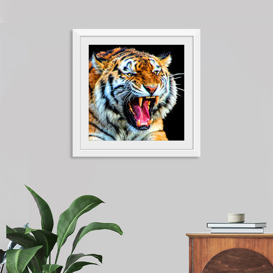 "Tiger"