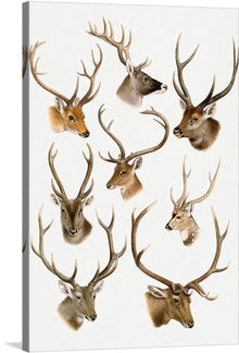  Immerse yourself in the majestic allure of “The Antler Ensemble,” a print capturing the regal beauty of eight distinct deer, each showcasing their unique and intricate antlers. Every detail, from the softness of their fur to the complexity of their antlers, is rendered with exquisite realism, bringing a touch of wild elegance into your space. 