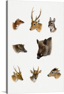  Immerse yourself in the serene beauty of the wilderness with this exquisite print, featuring a collection of meticulously illustrated woodland creatures. Each portrait, from the majestic stag with its impressive antlers to the curious and delicate fawn, is rendered with intricate detail and lifelike precision. 
