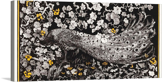 Immerse yourself in the enchanting allure of this exquisite artwork, now available as a limited edition print. A majestic peacock, intricately detailed and rendered in monochromatic splendor, stretches across the canvas. Its feathers, a cascade of eyes that have witnessed the silent songs of moonlit nights, are depicted with an artistry that breathes life into this ethereal being. 