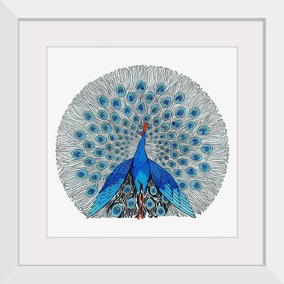 "Peacock"