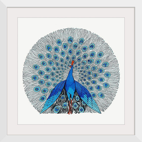 "Peacock"