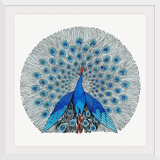 "Peacock"