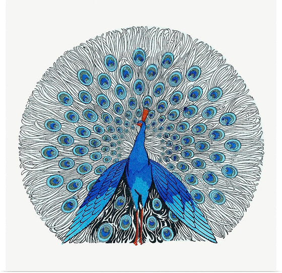 "Peacock"