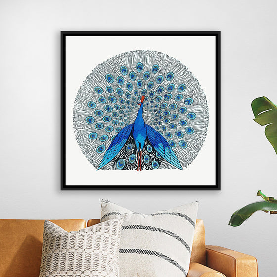 "Peacock"