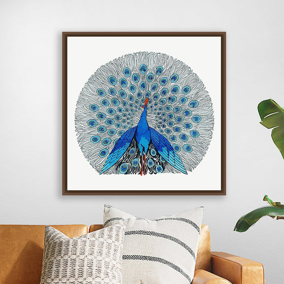 "Peacock"