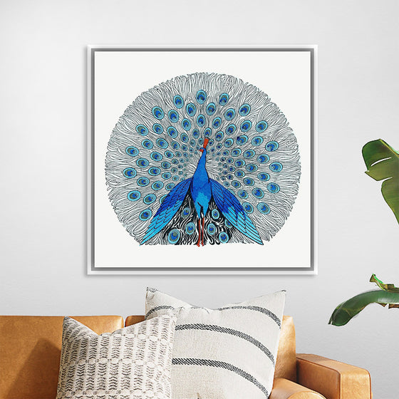 "Peacock"