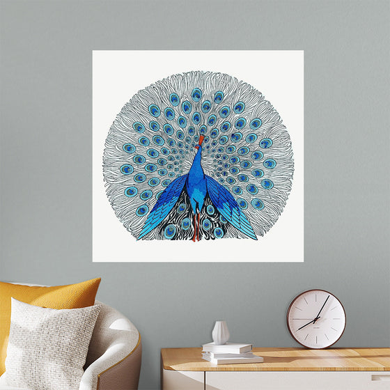 "Peacock"