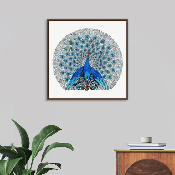 "Peacock"