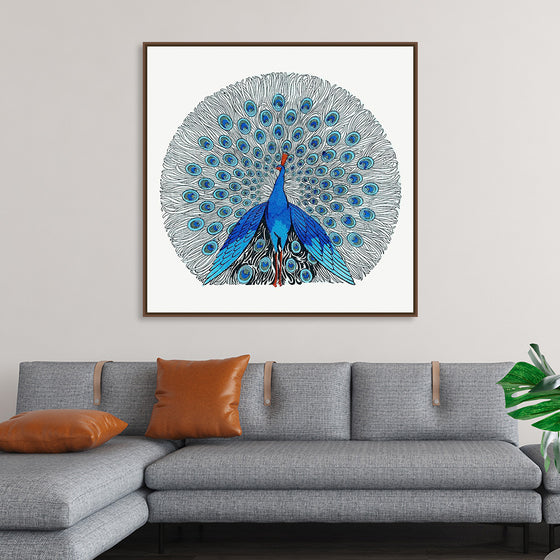 "Peacock"