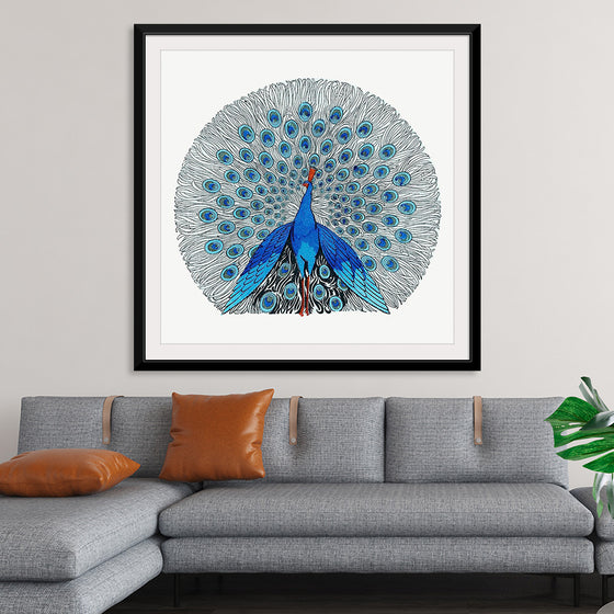 "Peacock"