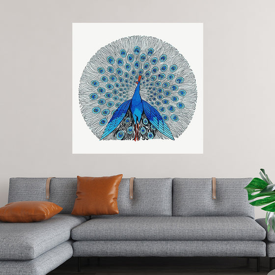 "Peacock"