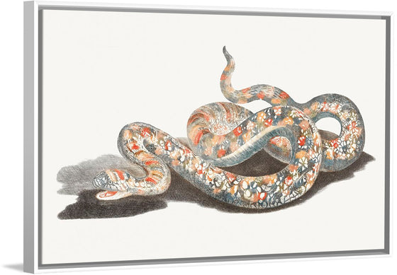 "A Snake", Johan Teyler