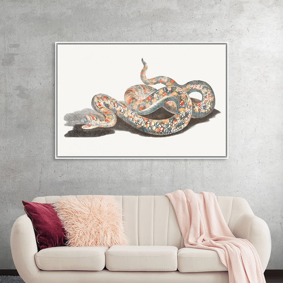 "A Snake", Johan Teyler