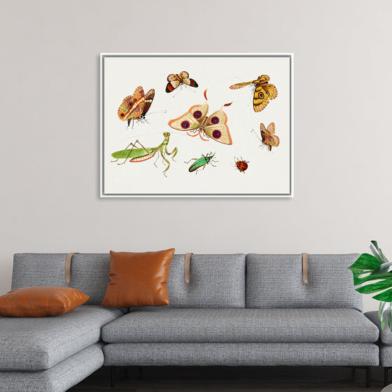 "Chinese Insect Drawing of Four Butterflies, a Moth, Praying Mantis and Two Insects"