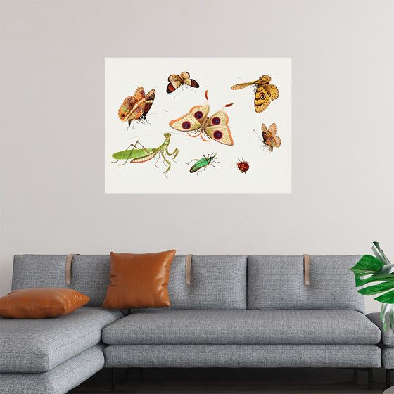 "Chinese Insect Drawing of Four Butterflies, a Moth, Praying Mantis and Two Insects"