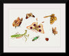 "Chinese Insect Drawing of Four Butterflies, a Moth, Praying Mantis and Two Insects"