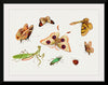 "Chinese Insect Drawing of Four Butterflies, a Moth, Praying Mantis and Two Insects"