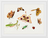 "Chinese Insect Drawing of Four Butterflies, a Moth, Praying Mantis and Two Insects"